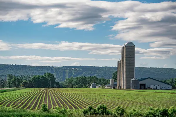 The fields and the Ouelle River in Kamouraska County, Quebec. Agriculture early summer. Landscape of Quebec. St. Lawrence River.